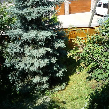 Abba Gyula