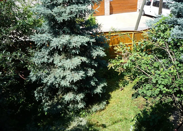Abba Gyula
